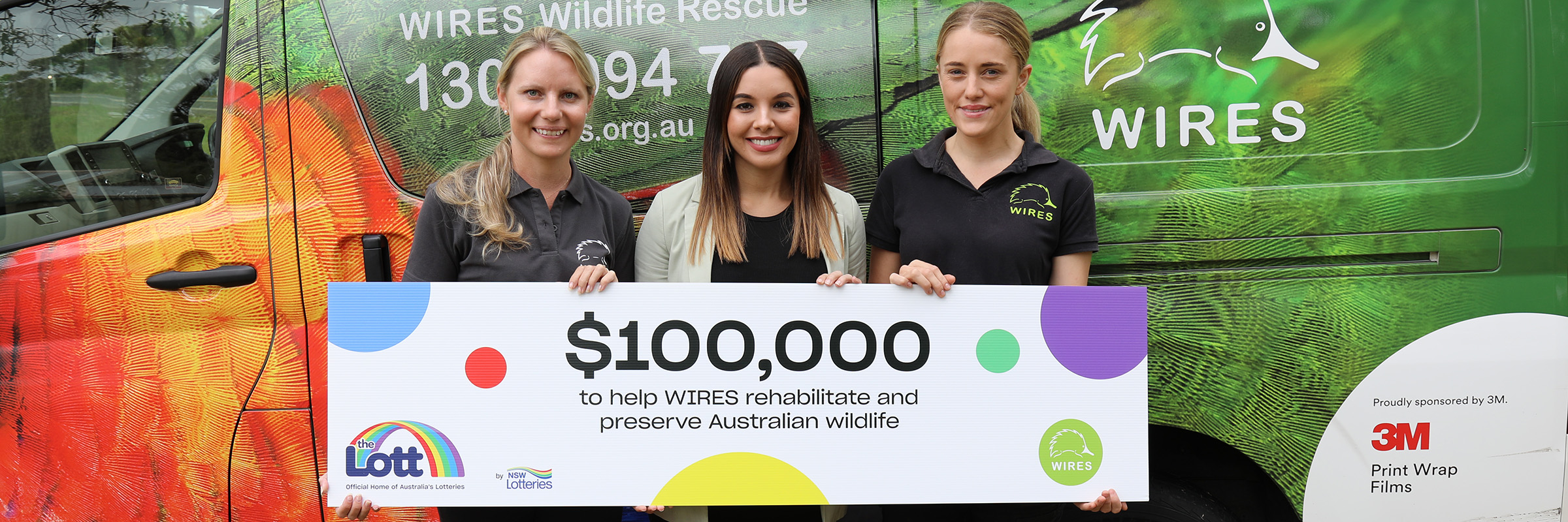 Our $100,000 donation to help save more koalas Hero Image