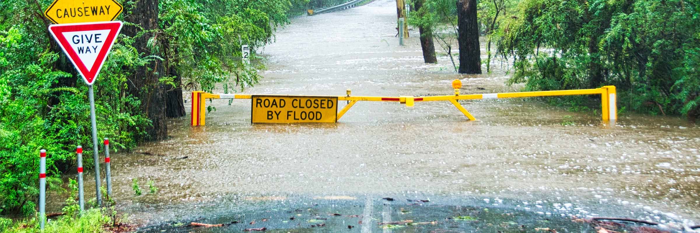 The Lott contributes $500,000 to flood relief Hero Image